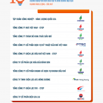 CÔNG BỐ TOP 10 DOANH NGHIỆP ĐỔI MỚI SÁNG TẠO VÀ KINH DOANH HIỆU QUẢ NĂM 2025 – NGÀNH NĂNG LƯỢNG – DẦU KHÍ