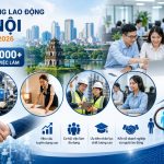 THỊ TRƯỜNG LAO ĐỘNG HÀ NỘI THÁNG 6/2026: 56.000 VỊ TRÍ CẦN TUYỂN