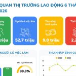 BỨC TRANH THỊ TRƯỜNG LAO ĐỘNG 6 THÁNG ĐẦU NĂM 2026 – 5 DỊCH CHUYỂN LỚN