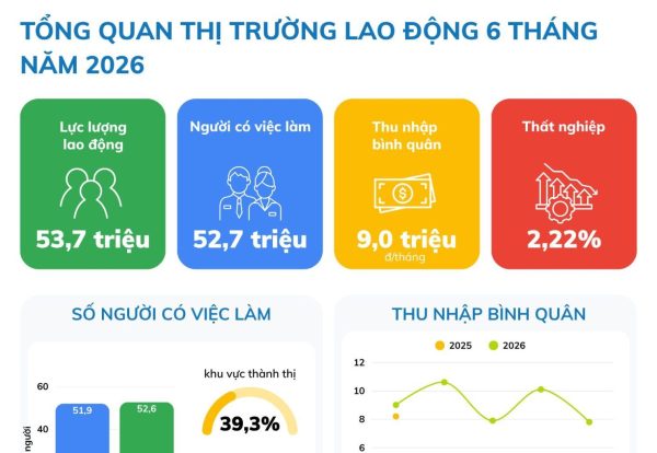 TỔNG QUAN THỊ TRƯỜNG LAO ĐỘNG 6 tháng NĂM 2026