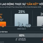NƠI ĐÁNG LÀM VIỆC, NHÌN TỪ NGƯỜI TRONG CUỘC